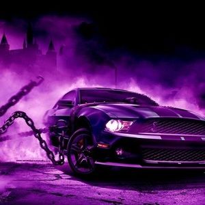 Meet your Posher, Benjamin